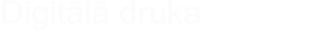 Lielformāta druka
